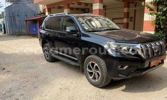 Buy Import Toyota Land Cruiser Prado Black Car in Douala in Littoral Cameroon Buy Import Toyota Land Cruiser Prado Black Car in Douala in Littoral Cameroon