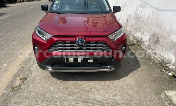 Buy Import Toyota RAV4 Red Car in Douala in Littoral Cameroon