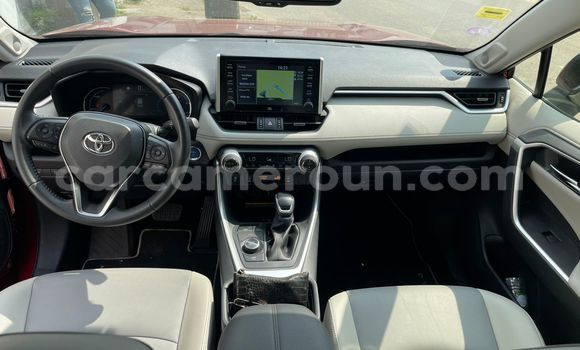 Buy Import Toyota RAV4 Red Car in Douala in Littoral Cameroon Buy Import Toyota RAV4 Red Car in Douala in Littoral Cameroon