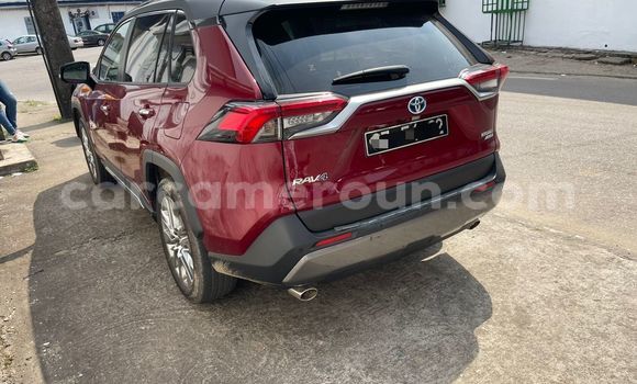 Buy Import Toyota RAV4 Red Car in Douala in Littoral Cameroon Buy Import Toyota RAV4 Red Car in Douala in Littoral Cameroon
