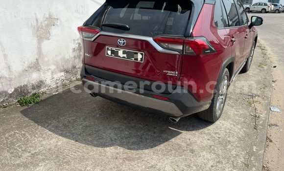 Buy Import Toyota RAV4 Red Car in Douala in Littoral Cameroon Buy Import Toyota RAV4 Red Car in Douala in Littoral Cameroon