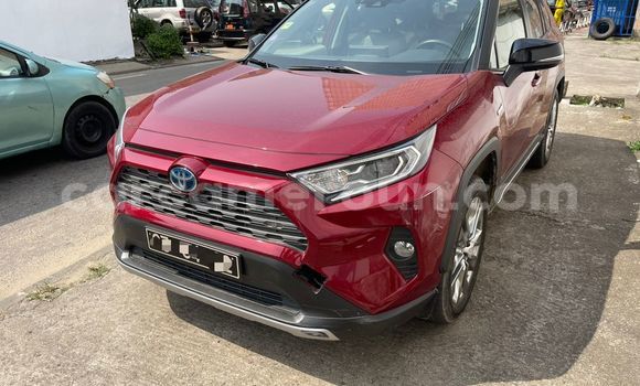 Buy Import Toyota RAV4 Red Car in Douala in Littoral Cameroon Buy Import Toyota RAV4 Red Car in Douala in Littoral Cameroon