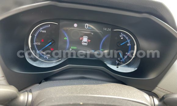 Buy Import Toyota RAV4 Red Car in Douala in Littoral Cameroon Buy Import Toyota RAV4 Red Car in Douala in Littoral Cameroon
