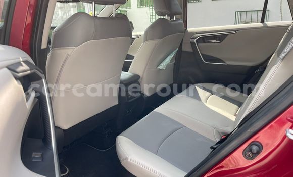 Buy Import Toyota RAV4 Red Car in Douala in Littoral Cameroon Buy Import Toyota RAV4 Red Car in Douala in Littoral Cameroon