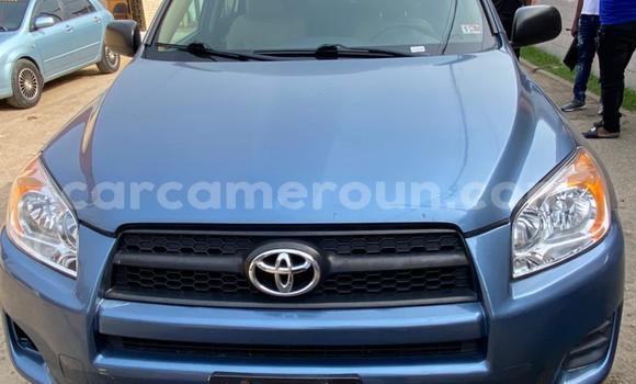 Acheter Import Voiture Toyota RAV4 Bleu à Douala, Littoral Cameroon