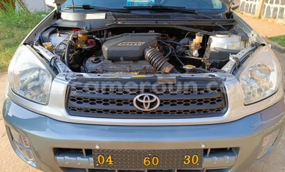 Sayi Na hannu Toyota RAV4 Sauran Mota in Yaounde a Babban Kamaru Sayi Na hannu Toyota RAV4 Sauran Mota in Yaounde a Babban Kamaru