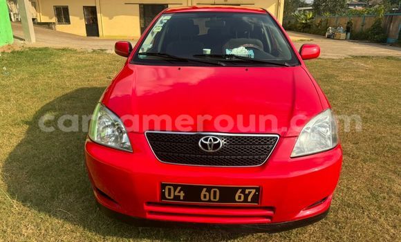 Buy Used Toyota Corolla Red Car in Yaounde in Central Cameroon Buy Used Toyota Corolla Red Car in Yaounde in Central Cameroon