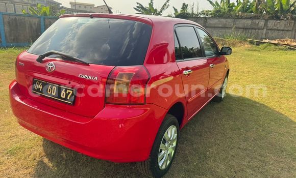 Sayi Na hannu Toyota Corolla Red Mota in Yaounde a Babban Kamaru Sayi Na hannu Toyota Corolla Red Mota in Yaounde a Babban Kamaru