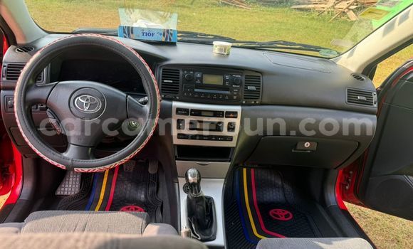 Sayi Na hannu Toyota Corolla Red Mota in Yaounde a Babban Kamaru Sayi Na hannu Toyota Corolla Red Mota in Yaounde a Babban Kamaru
