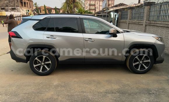 Buy Import Toyota RAV4 Silver Car in Douala in Littoral Cameroon Buy Import Toyota RAV4 Silver Car in Douala in Littoral Cameroon