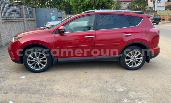 Buy Import Toyota RAV4 Red Car in Douala in Littoral Cameroon Buy Import Toyota RAV4 Red Car in Douala in Littoral Cameroon