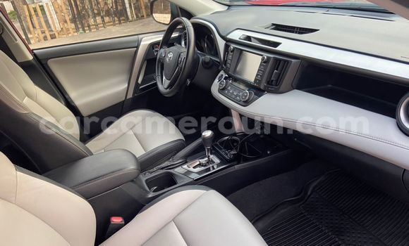 Buy Import Toyota RAV4 Red Car in Douala in Littoral Cameroon Buy Import Toyota RAV4 Red Car in Douala in Littoral Cameroon