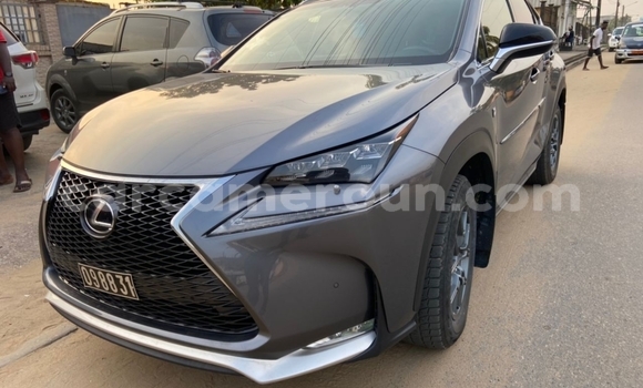 Buy Import Lexus NX Silver Car in Douala in Littoral Cameroon