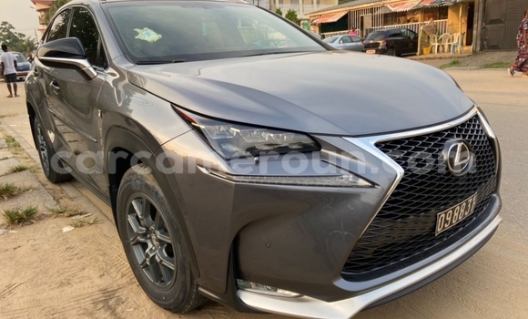 Acheter Import Voiture Lexus NX Gris à Douala, Littoral Cameroon Acheter Import Voiture Lexus NX Gris à Douala, Littoral Cameroon