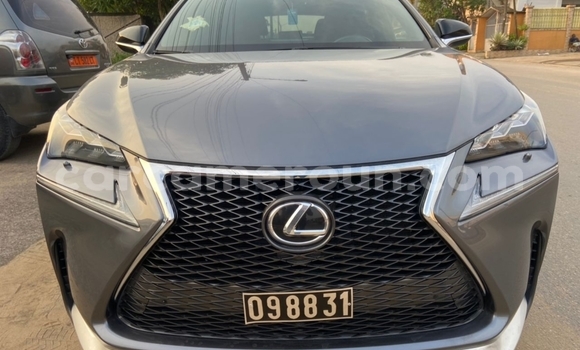 Acheter Import Voiture Lexus NX Gris à Douala, Littoral Cameroon Acheter Import Voiture Lexus NX Gris à Douala, Littoral Cameroon