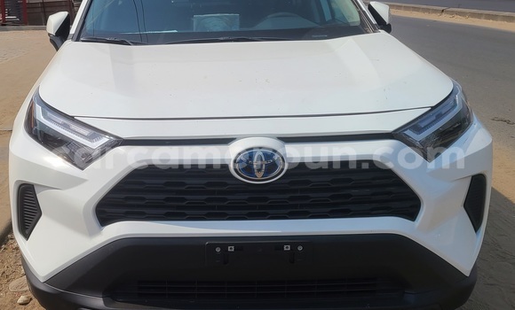 Acheter Neuf Voiture Toyota RAV4 Blanc à Douala, Littoral Cameroon Acheter Neuf Voiture Toyota RAV4 Blanc à Douala, Littoral Cameroon