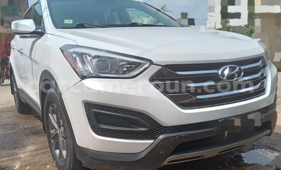 Acheter Import Voiture Hyundai Santa Fe Blanc à Douala, Littoral Cameroon Acheter Import Voiture Hyundai Santa Fe Blanc à Douala, Littoral Cameroon