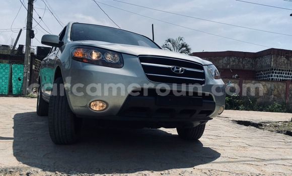 Acheter Import Voiture Hyundai Santa Fe Gris à Douala, Littoral Cameroon
