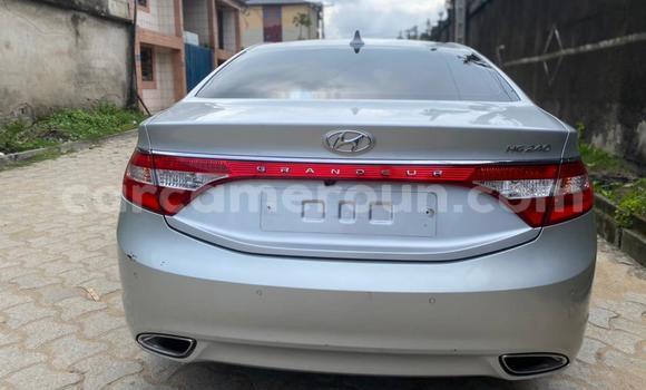 Buy Import Hyundai Grandeur Silver Car in Douala in Littoral Cameroon Buy Import Hyundai Grandeur Silver Car in Douala in Littoral Cameroon