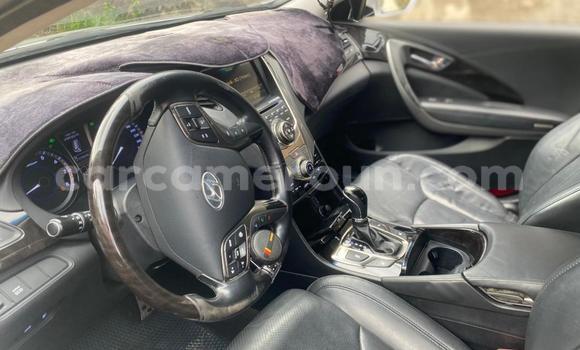 Buy Import Hyundai Grandeur Silver Car in Douala in Littoral Cameroon Buy Import Hyundai Grandeur Silver Car in Douala in Littoral Cameroon