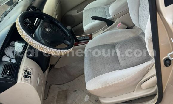 Sayi Na hannu Toyota Runx Sauran Mota in Yaounde a Babban Kamaru