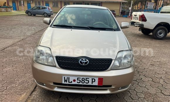 Acheter Occasion Voiture Toyota Runx Autre à Yaoundé, Central Cameroon Acheter Occasion Voiture Toyota Runx Autre à Yaoundé, Central Cameroon