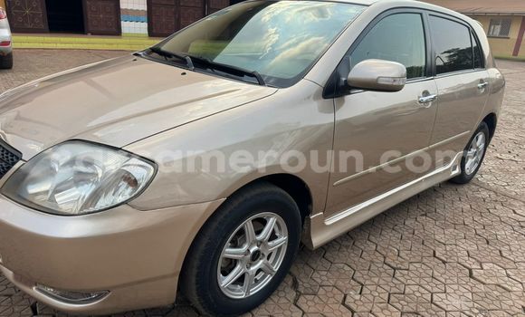 Acheter Occasion Voiture Toyota Runx Autre à Yaoundé, Central Cameroon Acheter Occasion Voiture Toyota Runx Autre à Yaoundé, Central Cameroon