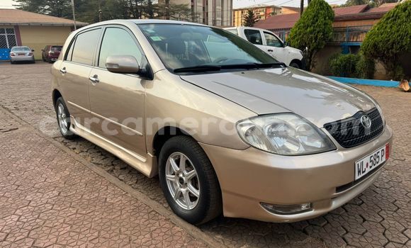 Acheter Occasion Voiture Toyota Runx Autre à Yaoundé, Central Cameroon Acheter Occasion Voiture Toyota Runx Autre à Yaoundé, Central Cameroon