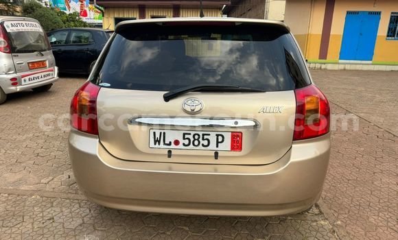 Acheter Occasion Voiture Toyota Runx Autre à Yaoundé, Central Cameroon Acheter Occasion Voiture Toyota Runx Autre à Yaoundé, Central Cameroon