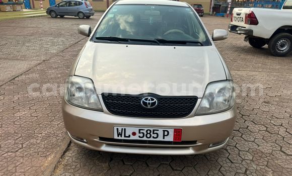 Acheter Occasion Voiture Toyota Runx Autre à Yaoundé, Central Cameroon Acheter Occasion Voiture Toyota Runx Autre à Yaoundé, Central Cameroon