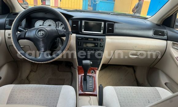 Acheter Occasion Voiture Toyota Runx Autre à Yaoundé, Central Cameroon Acheter Occasion Voiture Toyota Runx Autre à Yaoundé, Central Cameroon