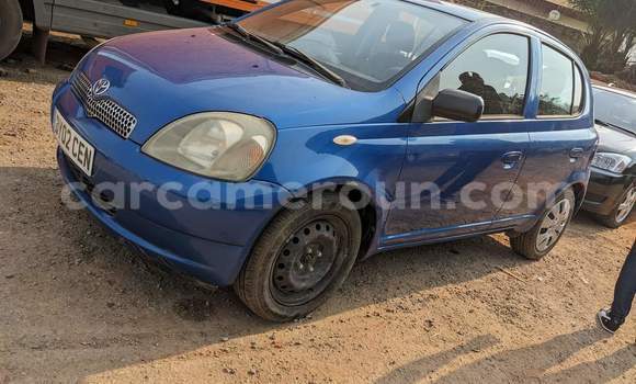 Buy Used Toyota Yaris Blue Car in Yaounde in Central Cameroon