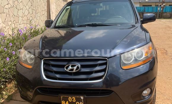 Acheter Occasion Voiture Hyundai Santa Fe Autre à Yaoundé, Central Cameroon