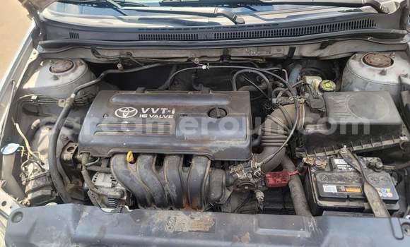 Acheter Occasion Voiture Toyota Corolla Gris à Yaoundé, Central Cameroon Acheter Occasion Voiture Toyota Corolla Gris à Yaoundé, Central Cameroon