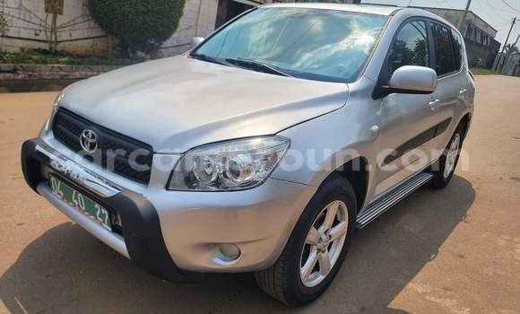 Buy Used Toyota RAV4 Silver Car in Yaounde in Central Cameroon Buy Used Toyota RAV4 Silver Car in Yaounde in Central Cameroon