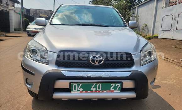Buy Used Toyota RAV4 Silver Car in Yaounde in Central Cameroon Buy Used Toyota RAV4 Silver Car in Yaounde in Central Cameroon