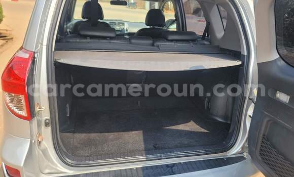 Buy Used Toyota RAV4 Silver Car in Yaounde in Central Cameroon Buy Used Toyota RAV4 Silver Car in Yaounde in Central Cameroon