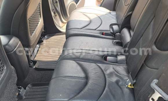 Buy Used Toyota RAV4 Silver Car in Yaounde in Central Cameroon Buy Used Toyota RAV4 Silver Car in Yaounde in Central Cameroon