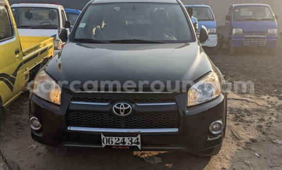 Buy Import Toyota RAV4 Black Car in Douala in Littoral Cameroon