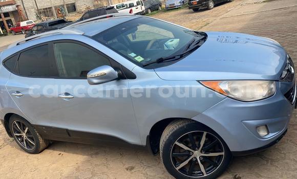 Buy Used Hyundai Tucson White Car in Douala in Littoral Cameroon Buy Used Hyundai Tucson White Car in Douala in Littoral Cameroon