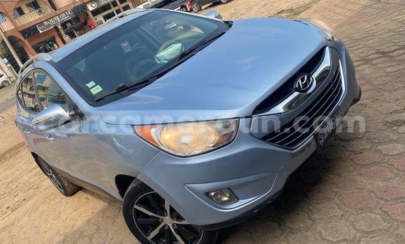 Buy Used Hyundai Tucson White Car in Douala in Littoral Cameroon Buy Used Hyundai Tucson White Car in Douala in Littoral Cameroon
