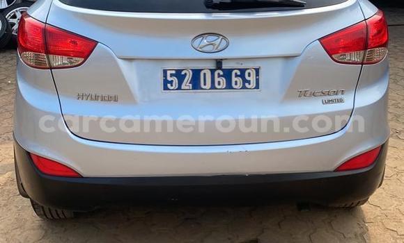 Buy Used Hyundai Tucson White Car in Douala in Littoral Cameroon Buy Used Hyundai Tucson White Car in Douala in Littoral Cameroon