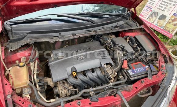 Buy Used Toyota Auris Red Car in Douala in Littoral Cameroon Buy Used Toyota Auris Red Car in Douala in Littoral Cameroon