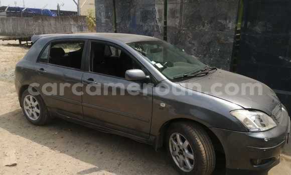 Sayi Na hannu Toyota Corolla Azurfa Mota in Douala a Ƙasar Kamaru