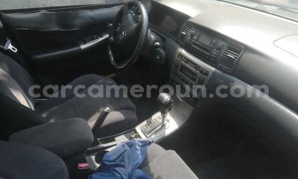Sayi Na hannu Toyota Corolla Azurfa Mota in Douala a Ƙasar Kamaru Sayi Na hannu Toyota Corolla Azurfa Mota in Douala a Ƙasar Kamaru