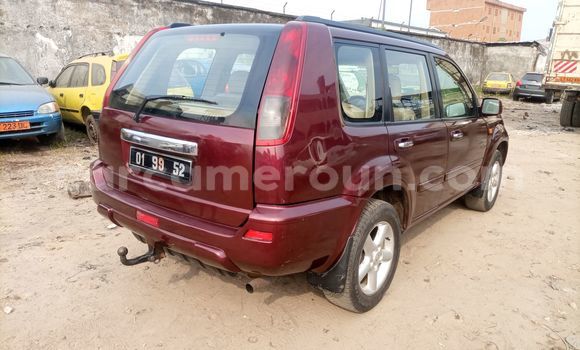 Buy Import Nissan X–Trail Red Car in Douala in Littoral Cameroon Buy Import Nissan X–Trail Red Car in Douala in Littoral Cameroon