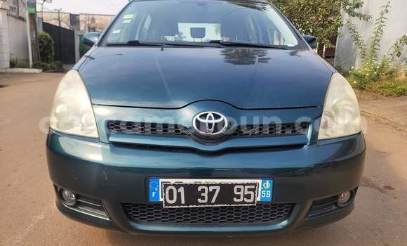 Buy Used Toyota Corolla Green Car in Yaounde in Central Cameroon Buy Used Toyota Corolla Green Car in Yaounde in Central Cameroon
