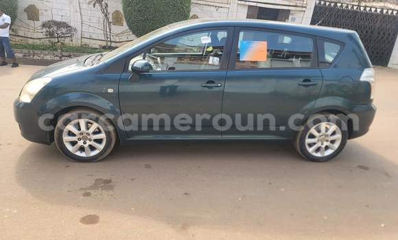 Buy Used Toyota Corolla Green Car in Yaounde in Central Cameroon Buy Used Toyota Corolla Green Car in Yaounde in Central Cameroon