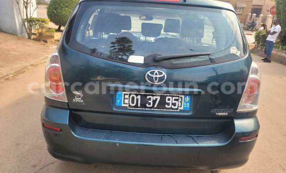 Buy Used Toyota Corolla Green Car in Yaounde in Central Cameroon Buy Used Toyota Corolla Green Car in Yaounde in Central Cameroon