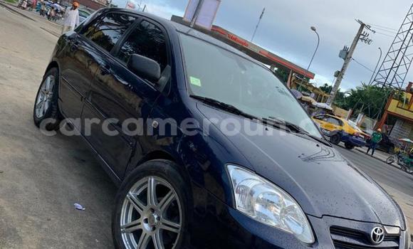 Acheter Occasion Voiture Toyota Corolla Bleu à Douala, Littoral Cameroon